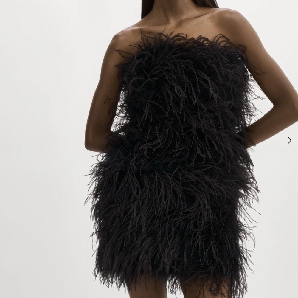 Lamarque Triana Strapless Black Feather Dress